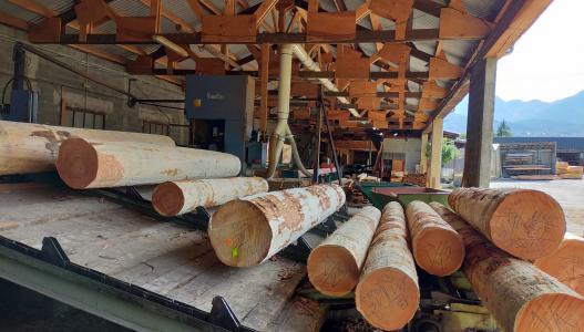 Photo illustrant le projet "Bois des Alpes : une marque pour valoriser les bois du massif alpin"