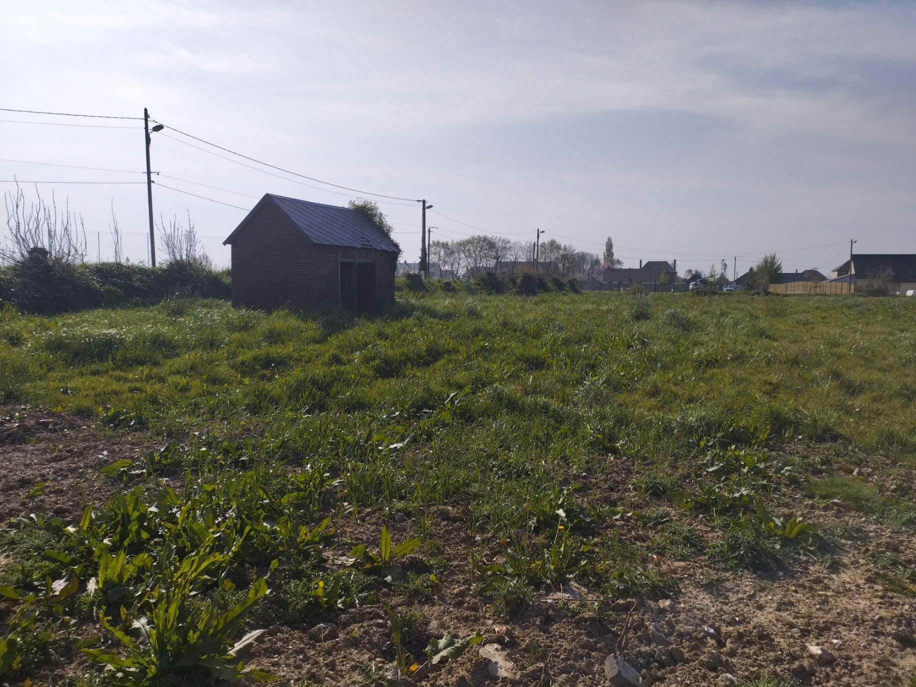 Photographie illustrant le projet "Aménagement d'un terrain ludique dans le centre du village, axé sur la biodiversité"