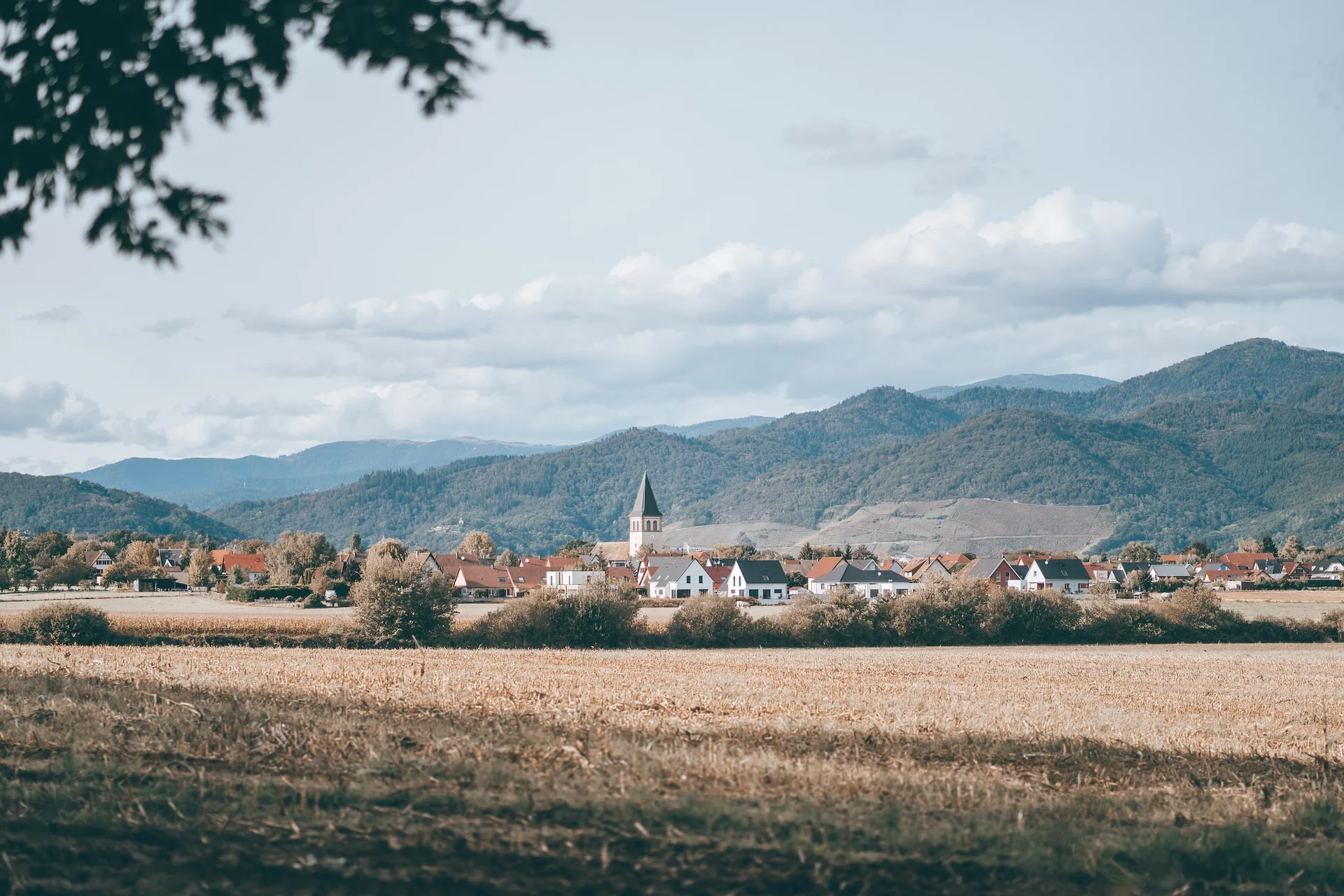 Photographie illustrant le projet "Saint-Flour tire l’énergie de son bois"